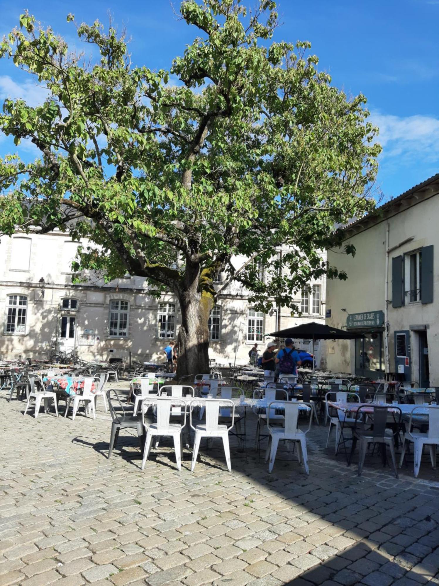 Comtesse Apartamento La Rochelle  Exterior foto